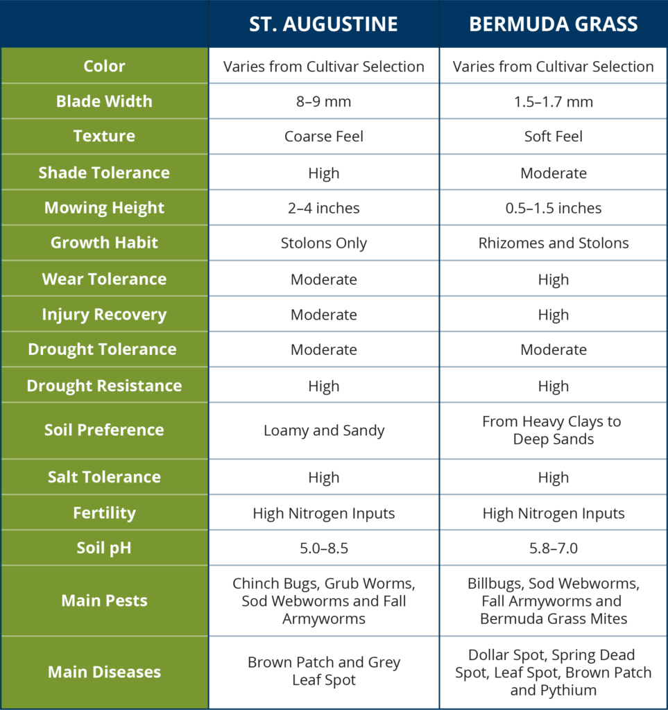 St. Augustine vs. Bermuda Grass