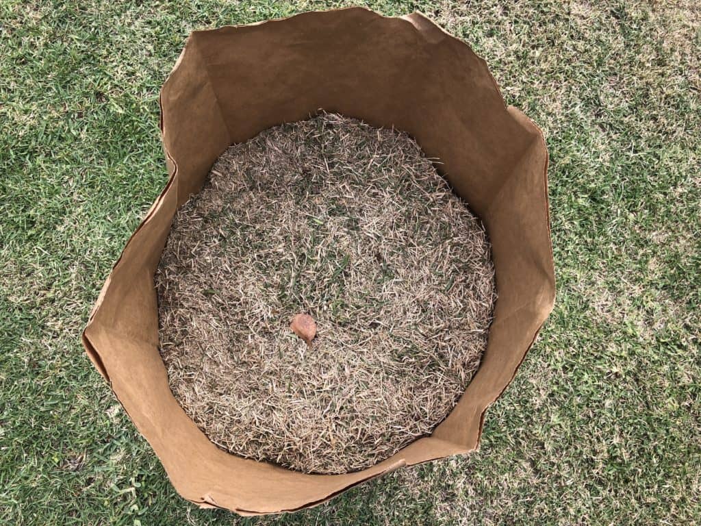 Leftover Lawn Clippings