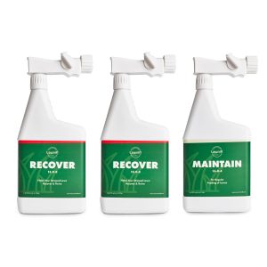 Lawnifi Summer Fertilizer Box